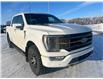 2022 Ford F-150 Tremor (Stk: U35771) in Hague - Image 2 of 13