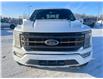 2022 Ford F-150 Tremor (Stk: U35771) in Hague - Image 3 of 13