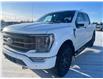 2022 Ford F-150 Tremor (Stk: U35771) in Hague - Image 4 of 13