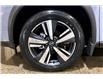 2025 Nissan Rogue SL (Stk: 25RG8172) in Cranbrook - Image 11 of 11