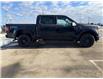 2025 Ford F-150 XLT (Stk: 25351) in High River - Image 7 of 26