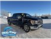 2021 Ford F-150 Lariat (Stk: HU3687) in High River - Image 1 of 22