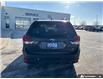 2023 Subaru Forester Wilderness (Stk: U3329) in Hamilton - Image 5 of 5