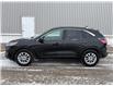 2022 Ford Escape SE Hybrid (Stk: UM040A) in London - Image 3 of 23 2022 Ford Escape SE Hybrid (Stk: UM040A) in London - Image 3 of 23