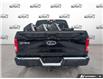2017 Ford F-150 XLT (Stk: D6C009Z) in Oakville - Image 5 of 24