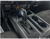 2017 Ford F-150 XLT (Stk: D6C009Z) in Oakville - Image 17 of 24