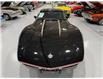 1978 Chevrolet Corvette Indy Pace Care Tribute  (Stk: 400406) in Watford - Image 6 of 46
