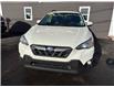2022 Subaru Crosstrek Sport (Stk: -) in Sussex - Image 6 of 16