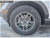 2025 Ford Bronco Sport Big Bend (Stk: 25S2005) in Olds - Image 6 of 25