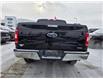 2019 Ford F-150 XLT (Stk: SA-1606A) in Calgary - Image 4 of 9