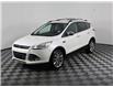 2015 Ford Escape SE (Stk: A20629) in Calgary - Image 1 of 20