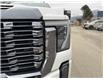2024 GMC Sierra 2500HD Denali Ultimate (Stk: T6016A) in Kamloops - Image 8 of 25