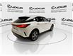 2023 Lexus RX 350h  (Stk: 14111904A) in Markham - Image 9 of 28