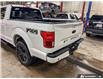 2020 Ford F-150 Lariat (Stk: D5F255A) in Oakville - Image 10 of 23