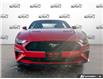 2021 Ford Mustang EcoBoost (Stk: P7325X) in Oakville - Image 2 of 23