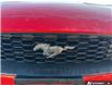 2021 Ford Mustang EcoBoost (Stk: P7325X) in Oakville - Image 9 of 23