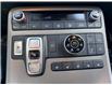 2024 Hyundai Palisade Urban 7 Passenger (Stk: 5B060A) in Chatham - Image 20 of 24