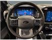 2025 Ford F-150 Lariat (Stk: S9845) in ROSETOWN - Image 14 of 17