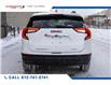 2024 GMC Terrain SLE (Stk: 26003A) in Ottawa - Image 8 of 23