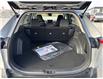 2025 Toyota RAV4 LE (Stk: C497283K) in Cranbrook - Image 18 of 20
