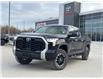 2022 Toyota Tundra Limited (Stk: X053172A) in Cranbrook - Image 1 of 21