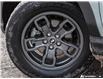 2023 Ford Bronco Sport Big Bend (Stk: P6447) in London - Image 6 of 27