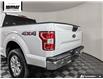 2019 Ford F-150 XLT (Stk: P3494) in Chilliwack - Image 12 of 36