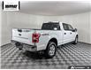 2019 Ford F-150 XLT (Stk: P3494) in Chilliwack - Image 14 of 36