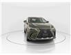 2026 Lexus NX 350  (Stk: 14111943) in Markham - Image 2 of 18