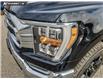 2023 Ford F-150  (Stk: PS284) in Kamloops - Image 8 of 24