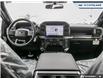 2025 Ford F-150 STX (Stk: 25F1749) in Newmarket - Image 25 of 25