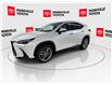2025 Lexus NX 350 Base (Stk: 11U4326) in Markham - Image 5 of 34