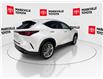 2025 Lexus NX 350 Base (Stk: 11U4326) in Markham - Image 11 of 34