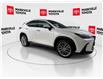 2025 Lexus NX 350 Base (Stk: 11U4326) in Markham - Image 13 of 34
