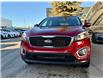 2016 Kia Sorento 2.4L LX (Stk: 4601C) in Calgary - Image 4 of 19