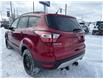 2018 Ford Escape SEL (Stk: L697A) in Newmarket - Image 7 of 22