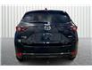2021 Mazda CX-5 Kuro Edition (Stk: 25BZ0858A) in Cranbrook - Image 4 of 24