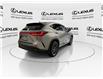 2025 Lexus NX 350  (Stk: 14U7221) in Markham - Image 9 of 31