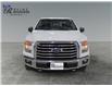 2015 Ford F-150 XLT (Stk: S9633A) in ROSETOWN - Image 8 of 17