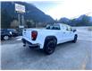 2020 GMC Sierra 1500 Base (Stk: 4C226B) in Hope - Image 5 of 14