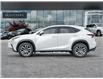 2020 Lexus NX 300 Base (Stk: 15U3481) in Richmond Hill - Image 4 of 26