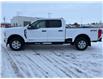 2026 Ford F-250  (Stk: T17875) in Hague - Image 5 of 13