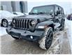2019 Jeep Wrangler Unlimited Sport (Stk: 25-336A) in Sarnia - Image 1 of 19