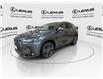 2025 Lexus NX 350  (Stk: 14U7217) in Markham - Image 5 of 31