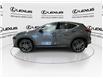 2025 Lexus NX 350  (Stk: 14U7217) in Markham - Image 6 of 31