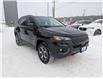2022 Jeep Compass Trailhawk (Stk: 03519R) in Owen Sound - Image 7 of 20