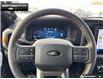 2025 Ford F-150 Tremor (Stk: 5F145844) in Brantford - Image 11 of 22