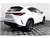 2023 Lexus NX 350h Base (Stk: X3633L) in London - Image 6 of 33