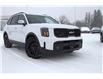 2024 Kia Telluride  (Stk: DA153B) in Ottawa - Image 3 of 15