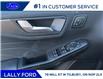 2025 Ford Escape Active (Stk: LFEP00709) in Tilbury - Image 6 of 15